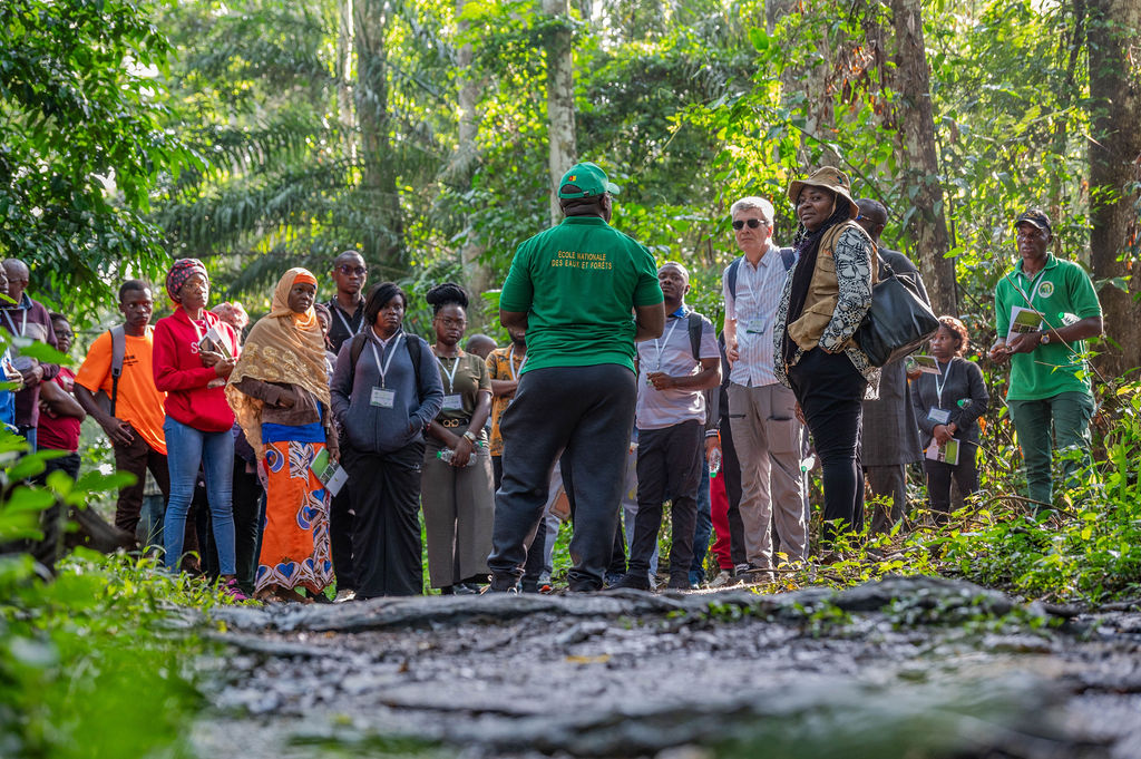 Community Forestry Collaborations - Cameroon 2025