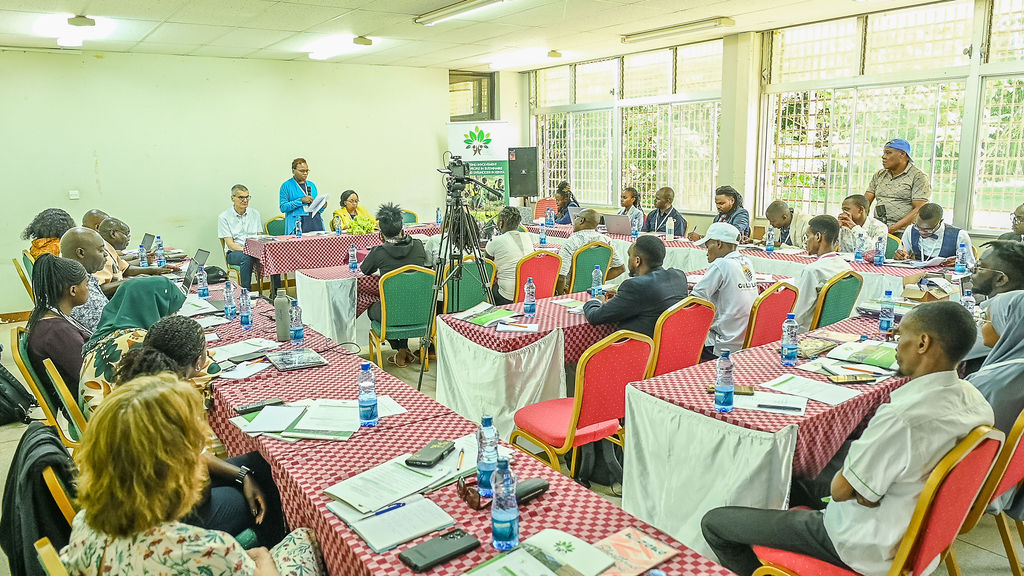 Field Study & Tree Resource Analysis - Kenya 2025