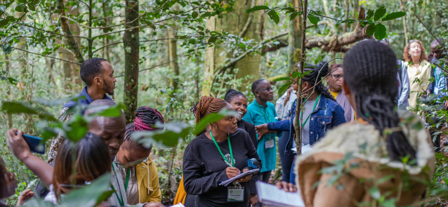 oung people on a guided tour of Ngangao forest, located in Taita Hills in Kenya. Photo: Felix Odhiambo/AFF