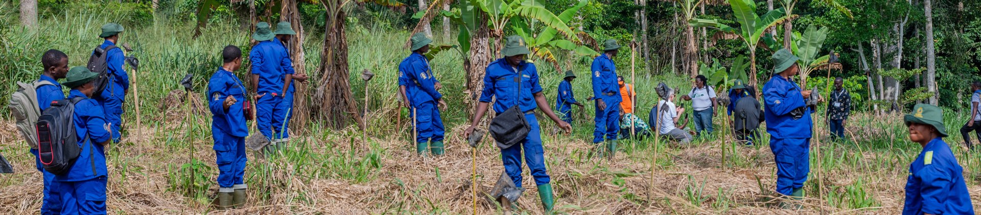 Call for Applications: EUDR Impact on Youth & Forest Communities Livelihoods in Africa
