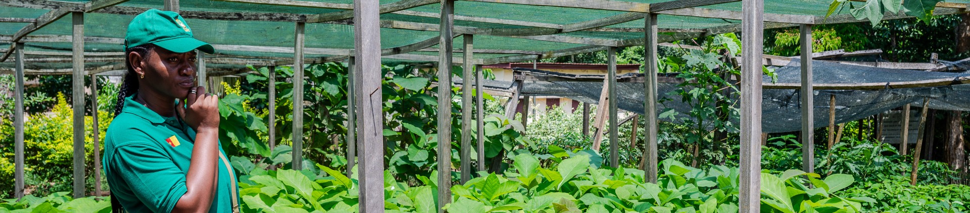 Call for Consultancy Services: EUDR Commodities Compliance & Youth-Smart Business in Africa
