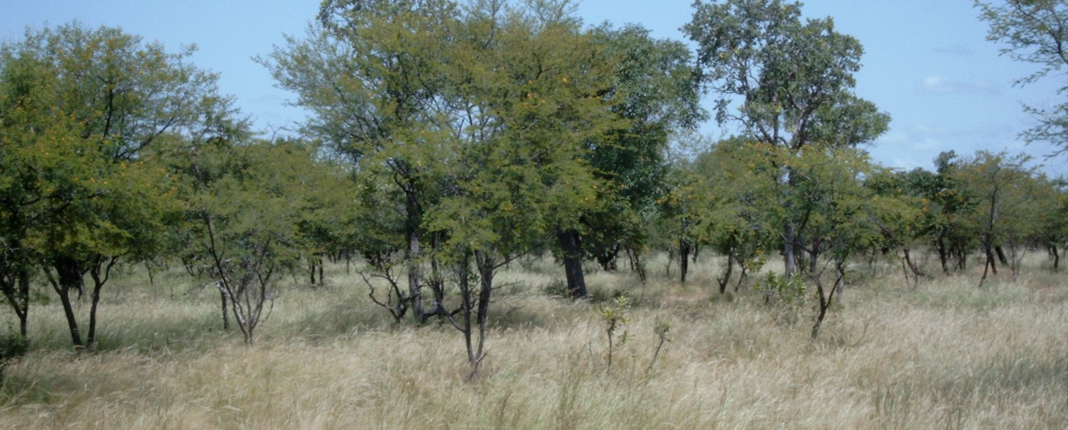 Call for Papers: Traditional Knowledge, Biodiversity, Food Security and Human Health