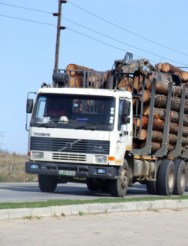 Boosting intra-African timber trade