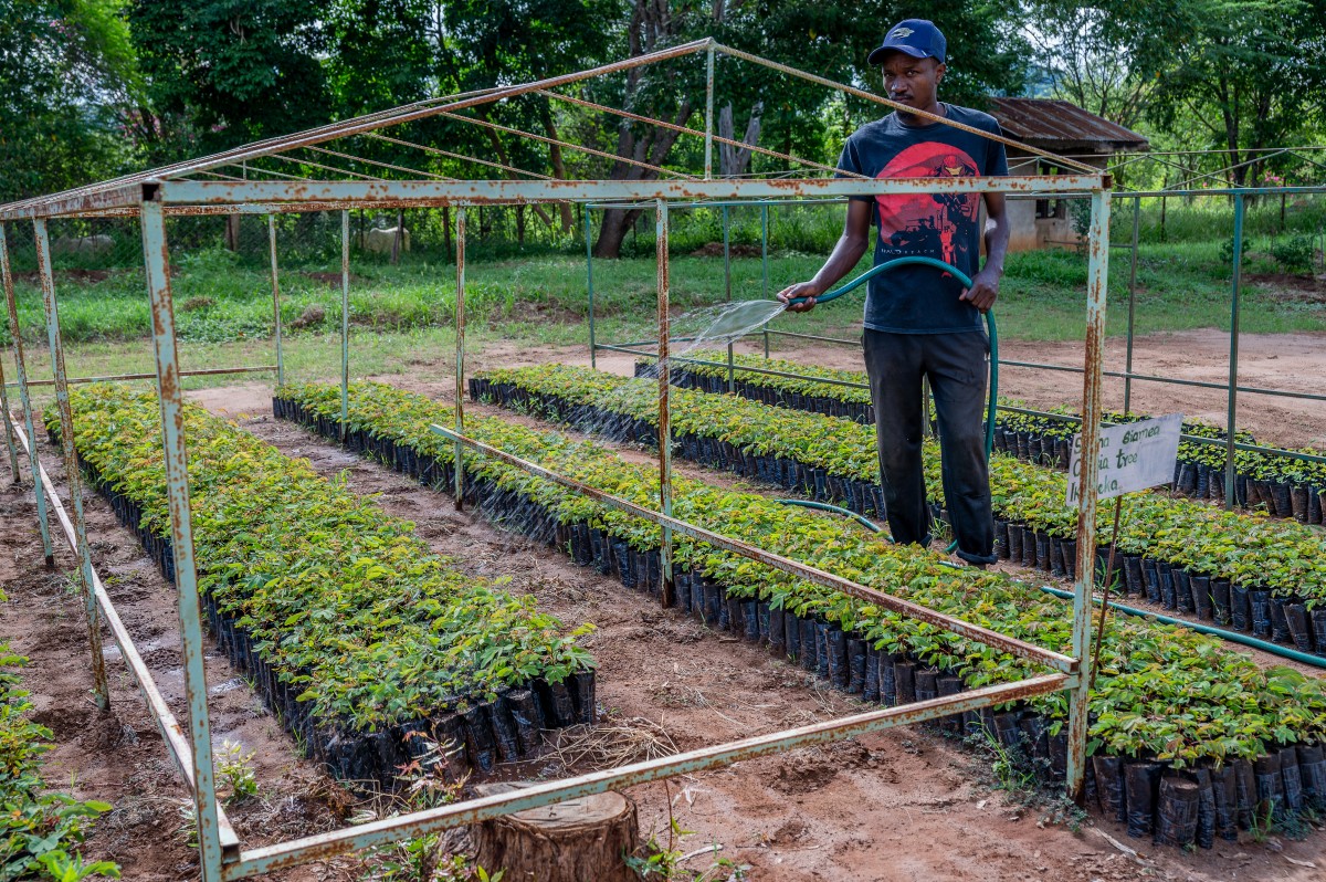 Call for Applications: Business Development Services (BDS) Training for Youth in Green Entrepreneurship 24–26 June 2026