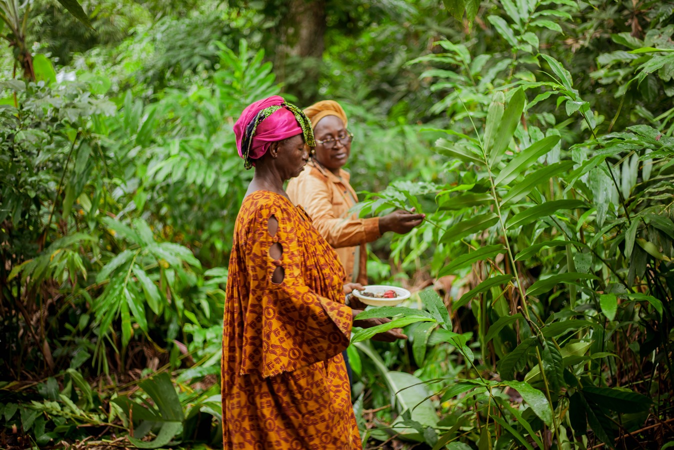 Rose Masso, National Coordinator of Cameroon Ecology & Regional Coordinator for the African Women’s Network of Community Management of Forests with a community forest member of the Boomabong/Pouth-Ndjock Group in Cameroon