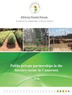 Private forestry sector in Cameroon: status and potential