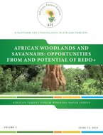 Assessment of National Forest Programme Processes and Plans in Southern Africa